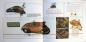 Preview: Wesselhoff "Volkswagen Kaefer" Volkswagen-History 2013 (10195)